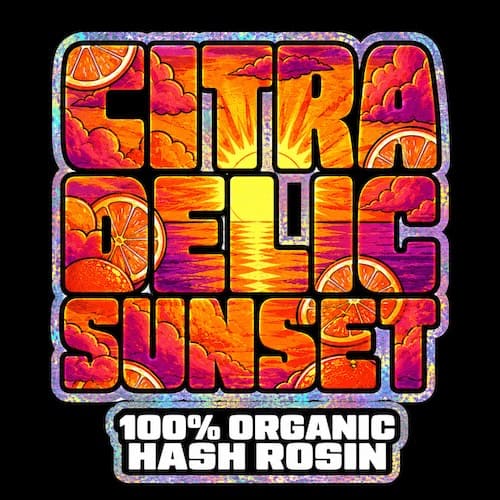 Citradellic Sunset Live Rosin